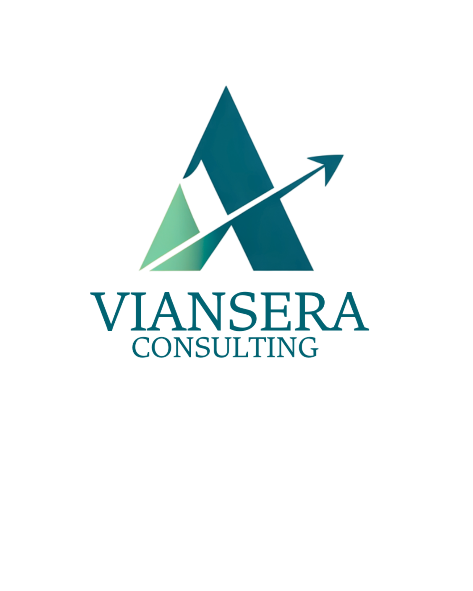 Viansera Consulting logo